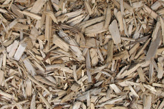biomass boilers Brand End